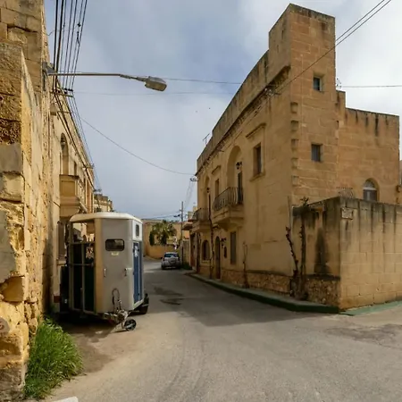 Ta Nina فيلة